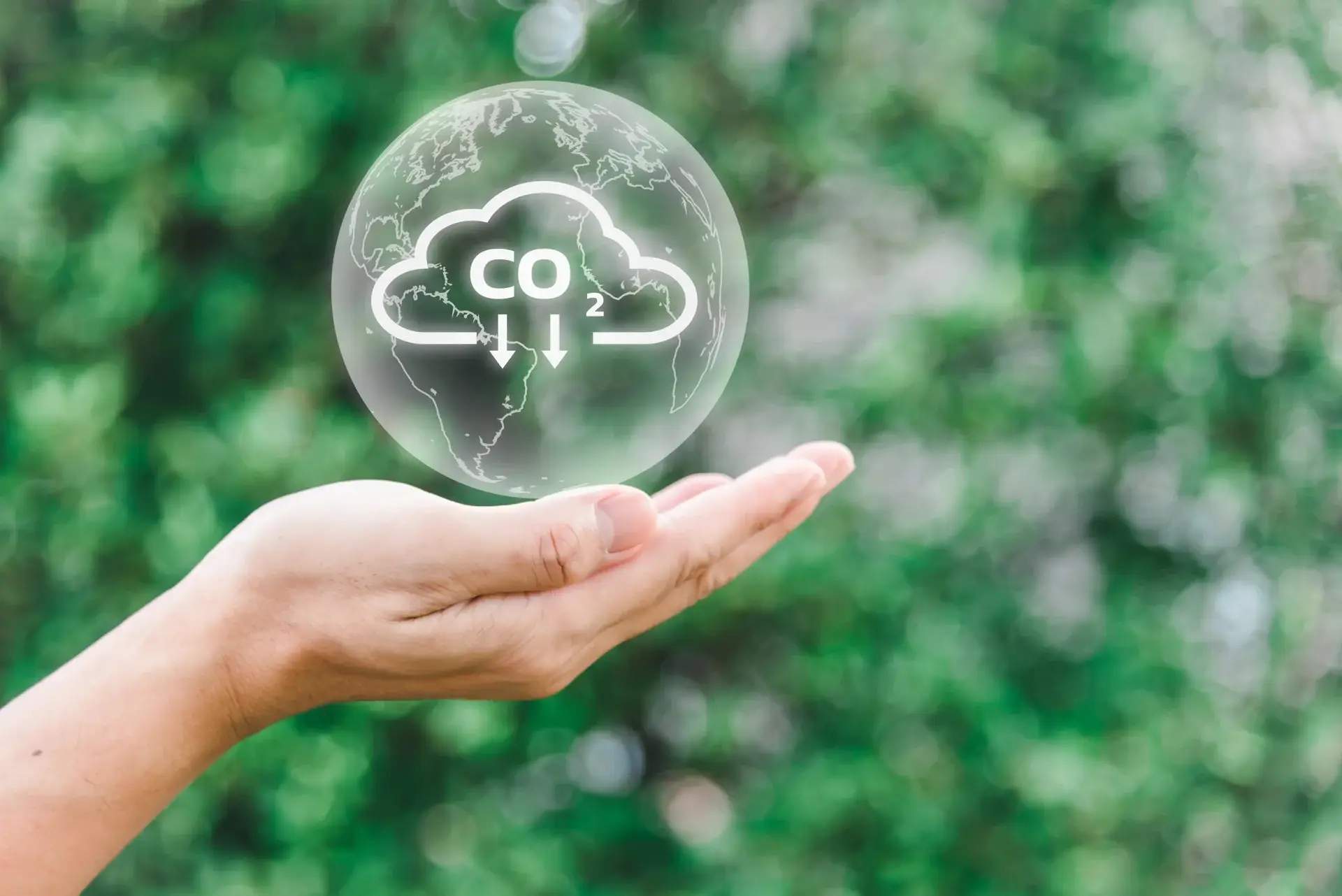 พลังงานชีวมวล: พลังงานสะอาดสำหรับอุตสาหกรรมยุคใหม่