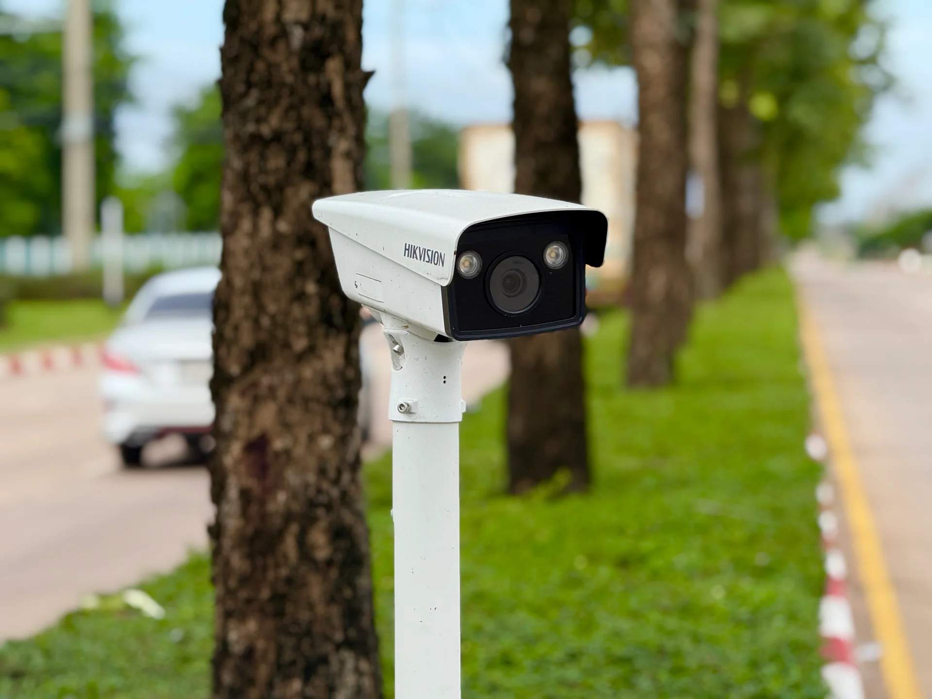 Environmental Sustainability